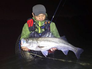 秋のｼｰﾊﾞｽｼｰｽﾞﾝ到来です！