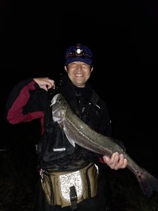 雨の恵み！?今、ｼｰﾊﾞｽが釣れています。