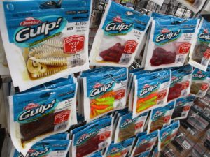 秋を見据えて根魚！ｶﾞﾙﾌﾟ大量入荷！！