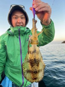 秋注目の釣り!アオリイカティップラン!