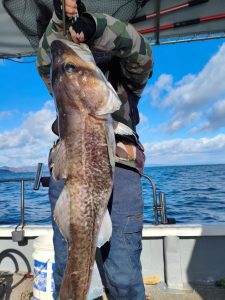 ﾏﾀﾞﾗｼﾞｷﾞﾝｸﾞ絶好調！そしてｺｽﾊﾟ〇ﾏﾀﾞﾗｼﾞｷﾞﾝｸﾞﾛｯﾄﾞ大量入荷！