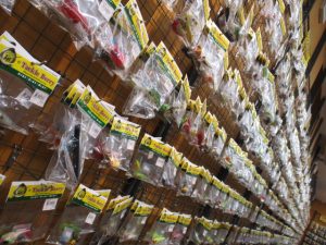 ﾊﾞｽﾙｱｰ大量買取！