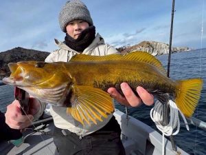 金華山ﾎﾞｰﾄﾛｯｸ！