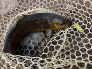 ｴﾘｱﾄﾗｳﾄ満喫できました！