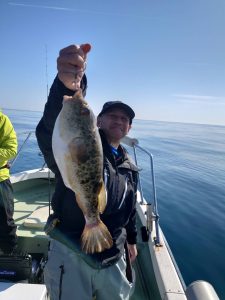 仙台湾ｶｯﾄｳﾌｸﾞ好調！嬉しいｹﾞｽﾄ！【大型ﾋｶﾞﾝﾌｸﾞ】♪