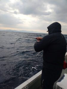 春真鯛好調！ｽﾀｯﾌ釣果