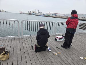 ﾌｧﾐﾘｰﾌｨｯｼﾝｸﾞにｵｽｽﾒ！ｼｬｺ釣果情報