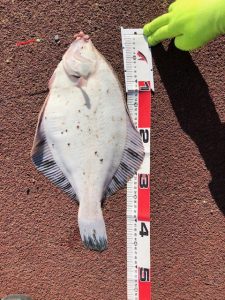 【札幌白石店】釣果情報☆彡