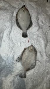 【札幌白石店】お客様釣果情報☆彡