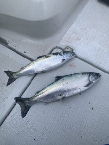 【札幌白石店】釣果情報☆彡