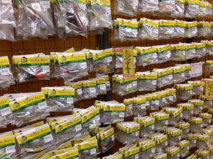 川越店入荷情報♪