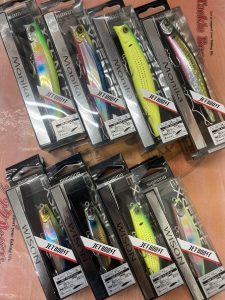 葛西店、入荷情報！