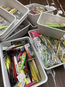 葛西店、入荷情報！