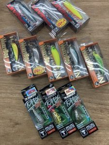 葛西店、入荷情報！