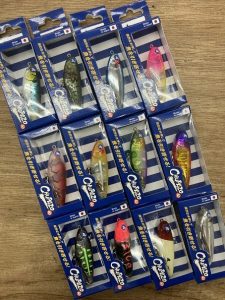 葛西店、入荷情報！