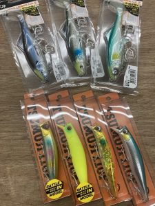 葛西店、入荷情報！