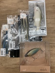 葛西店、入荷情報！