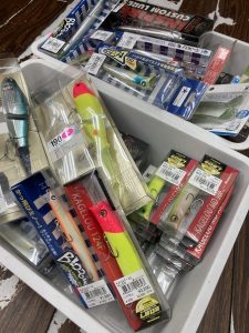 葛西店、入荷情報！