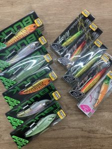 葛西店、入荷情報！