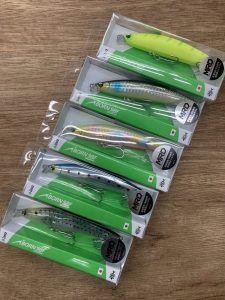 葛西店、入荷情報！