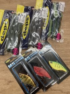 葛西店、入荷情報！