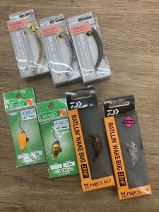 葛西店、入荷情報！