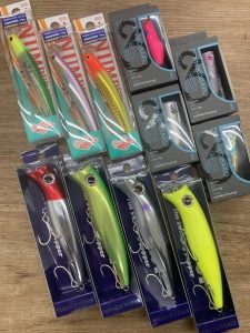 葛西店、入荷情報！