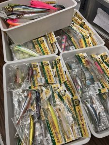 葛西店、入荷情報！