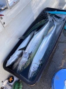 葛西店、入荷情報！