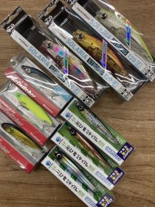 葛西店、入荷情報！