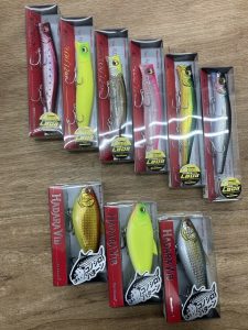 葛西店、入荷情報！