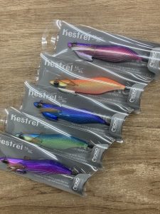 葛西店、入荷情報！