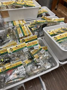 葛西店、入荷情報！