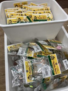 葛西店、入荷情報！