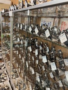 葛西店、最新情報！