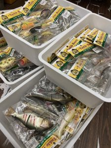 葛西店、入荷情報！