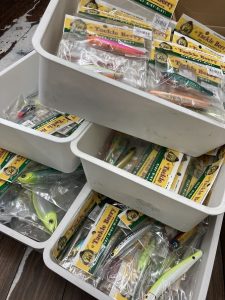 葛西店、入荷情報！