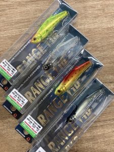 葛西店、入荷情報！