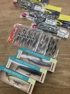 葛西店、入荷情報！