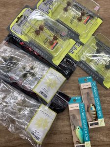 葛西店、入荷情報！