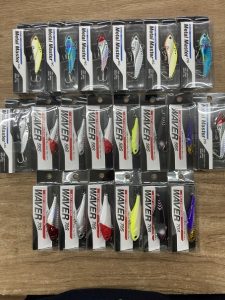 葛西店、入荷情報！