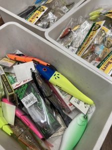 葛西店、入荷情報！
