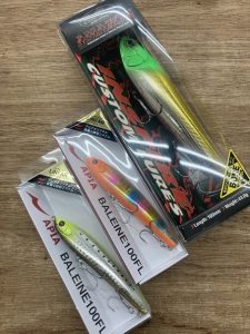 葛西店、入荷情報！