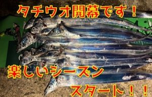 淡路タチウオ開幕！