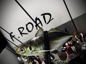 【釣果情報】鳥取F.ROADﾎﾞｰﾄｱｼﾞﾝｸﾞに行ってきました!