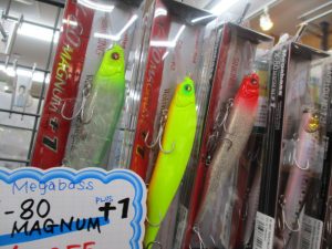 東京湾サワラ好調のようです！
