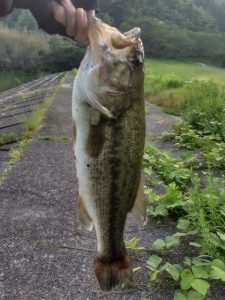 釣査報告！