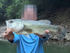 釣査報告！