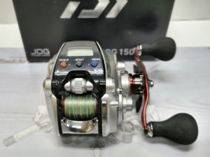 入荷情報！