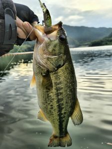 釣査報告！